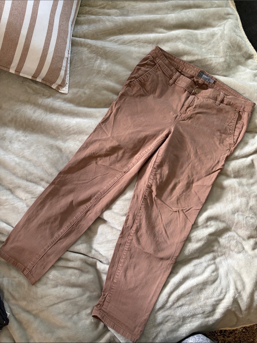 Torrid Brown Twill Waistband Pants